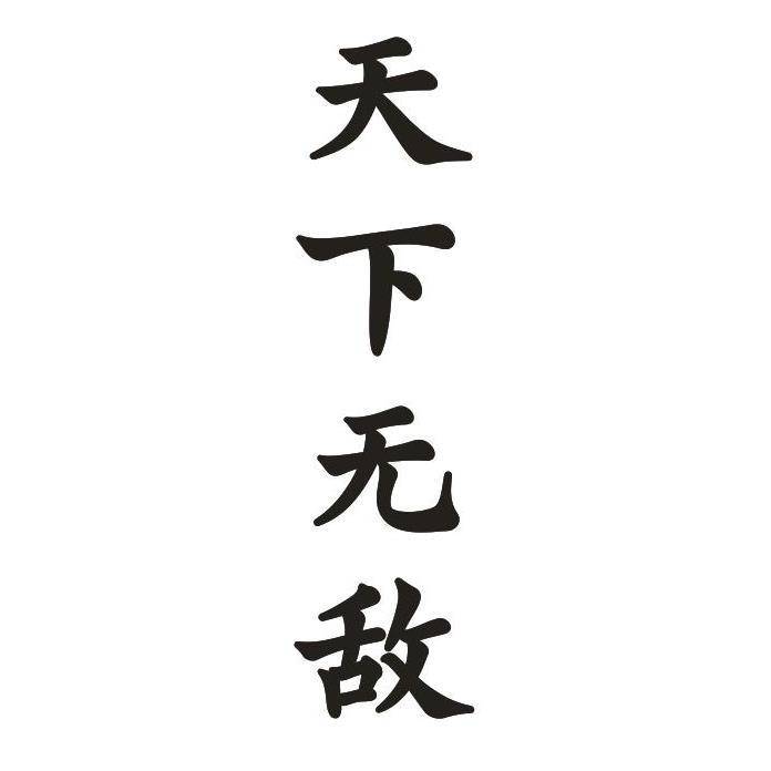 天下无敌主角