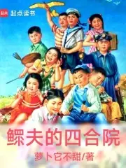 鳏夫的四合院胡同生活